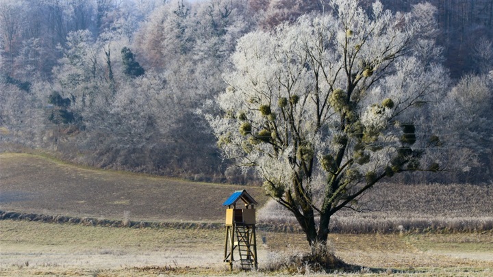 vrijeme zima vedro mraz (3).jpg