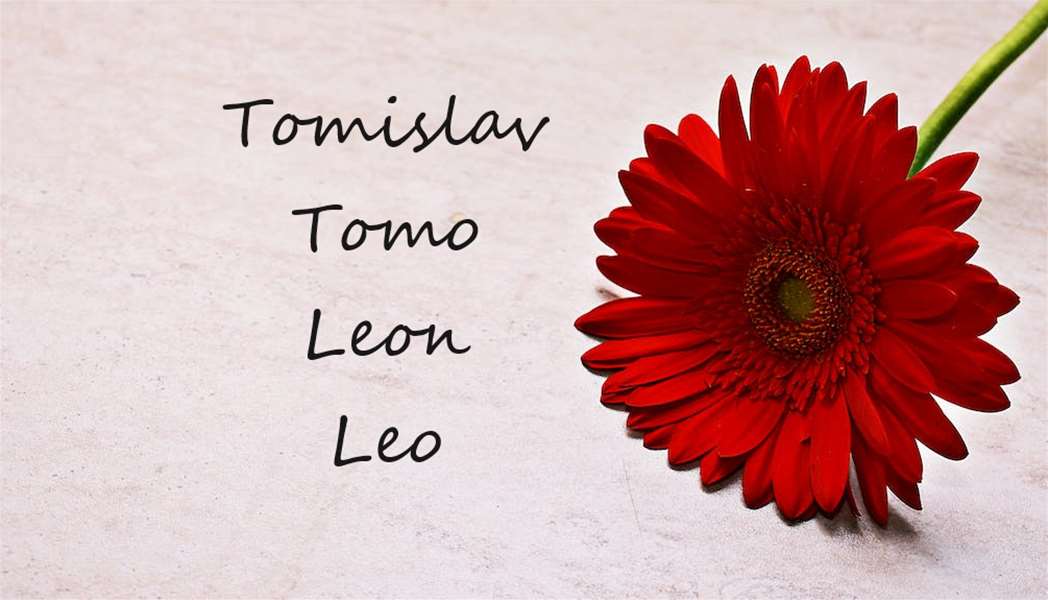 tomislav leon.png