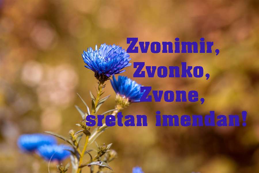 -Zvonimir, Zvonko