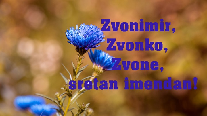 -Zvonimir, Zvonko
