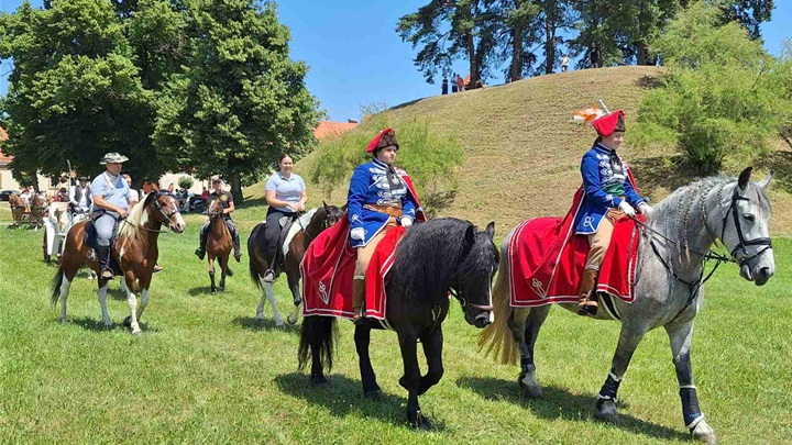 140625_dan kocija_7.jpg
