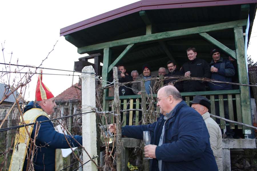 vinkovo vincekovo IMG_1761.JPG