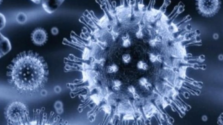 virus gripe