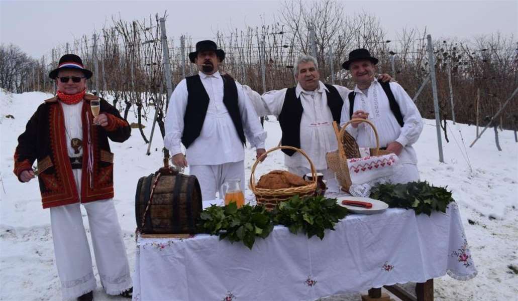 Vincekovo Udruge vinogradara Marija Bistrica glavna.JPG