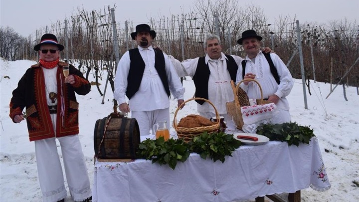 Vincekovo Udruge vinogradara Marija Bistrica glavna.JPG