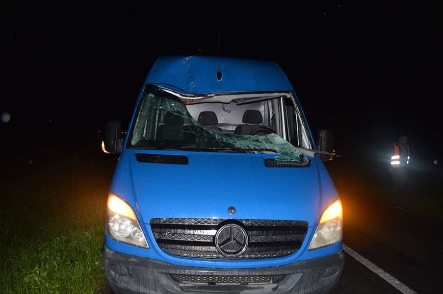 PN-nalet na srneću divljač.jpg