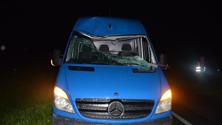 PN-nalet na srneću divljač.jpg