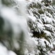 PROGNOZA VREMENA: Ponovo možemo očekivati snijeg