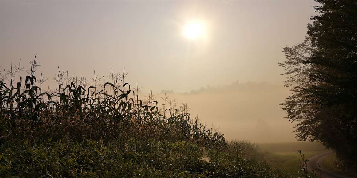 vrijeme magla sunce kasno ljeto.jpg