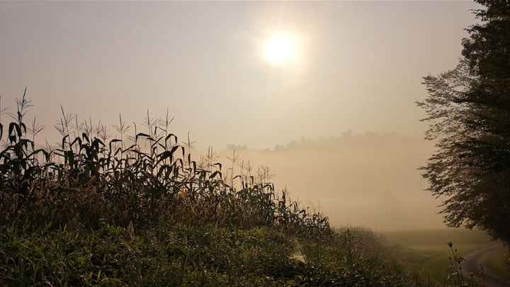 vrijeme magla sunce kasno ljeto.jpg