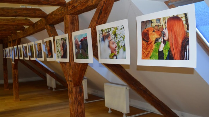 izložba zagorska sela 2.jpg