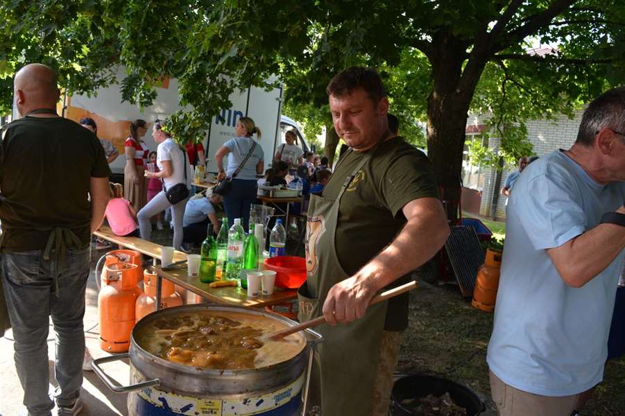 KZZOBRTNICKILONEC026-Copy.jpg