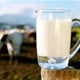  Zagorci više ne žele imati posla s velikim otkupljivačima mlijeka