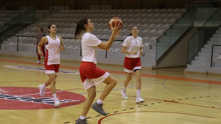 SPORT 12.11._NAJAVA KOŠARKA Detalj s treninga u Zaboku.jpg