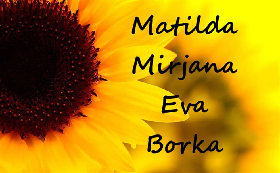 imendan matilda mirjana eva borka.png