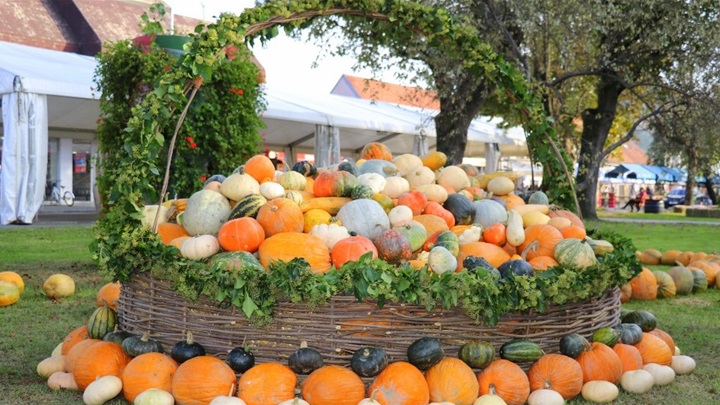 glavna bučijada.jpg