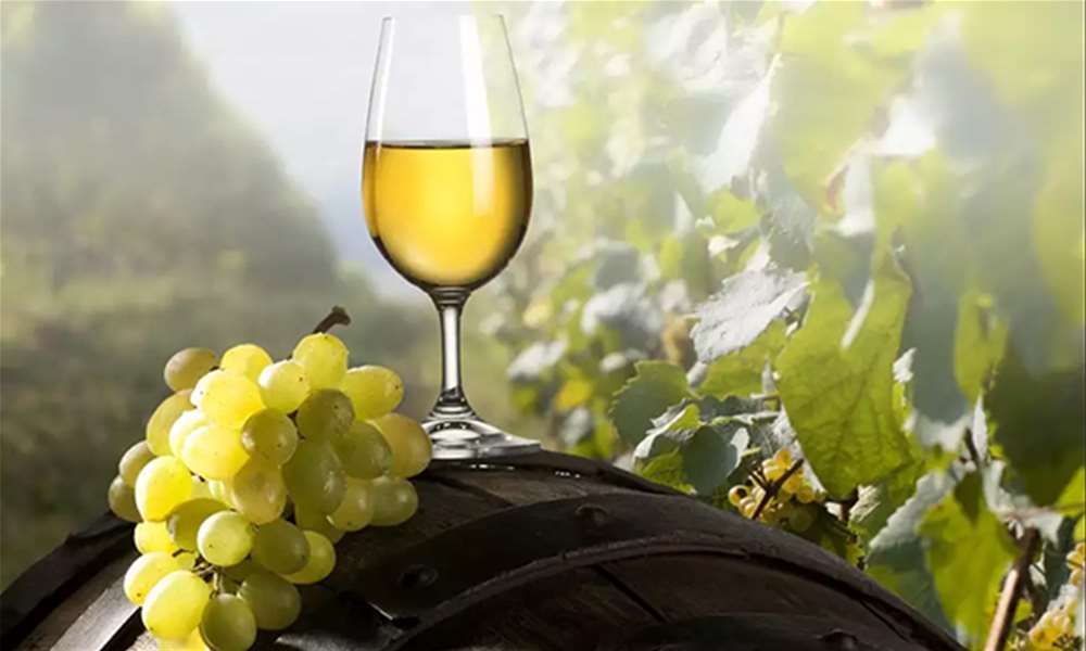 vino
