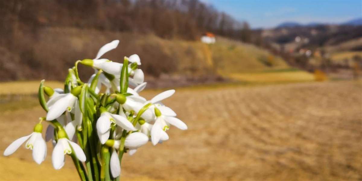 vrijeme slika proljeće sunce (1).jpg