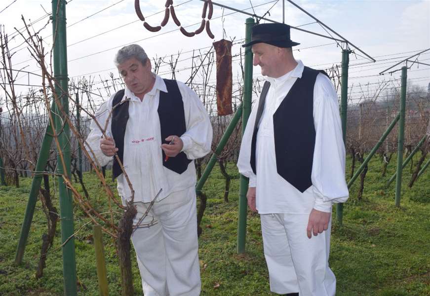 Vincekovo na Vinskom Vrhu.JPG