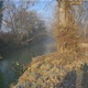 Zimsko prebrojavanje vodenih ptica uz rijeku Sutlu