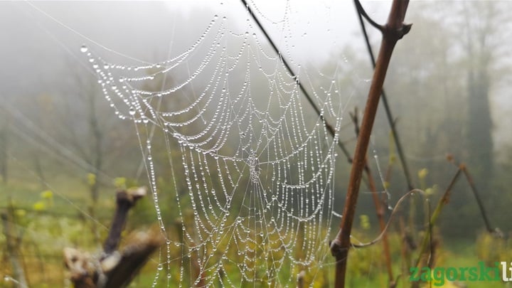 vrijeme jesen (10).jpg