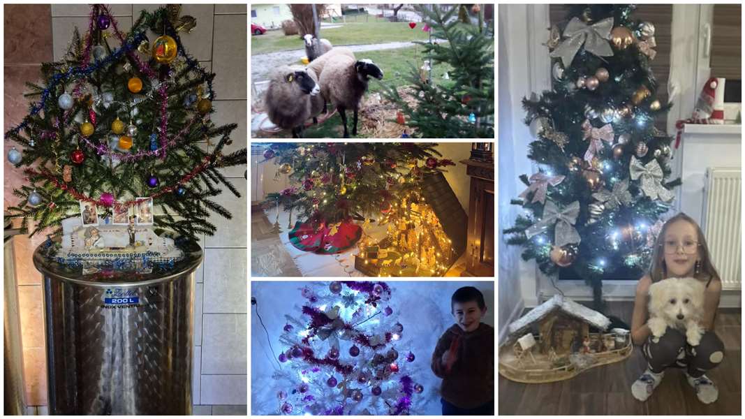 FotoJet - 2024-12-24T191900.268.jpg