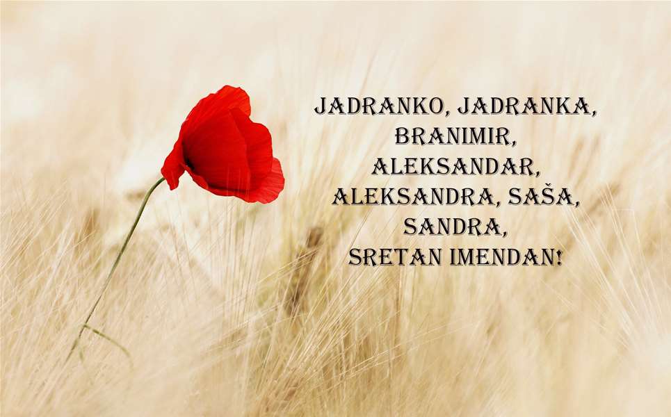 -Jadranka, Saša, Sandra, Branimir