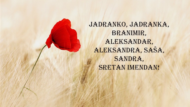 -Jadranka, Saša, Sandra, Branimir