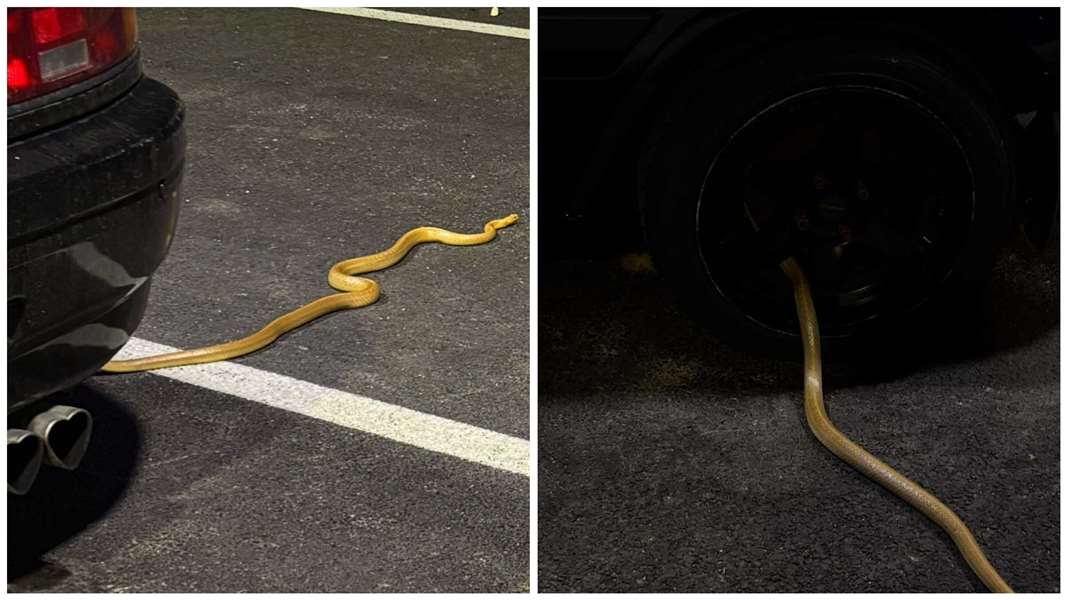 FotoJet - 2025-09-15T210358.583.jpg