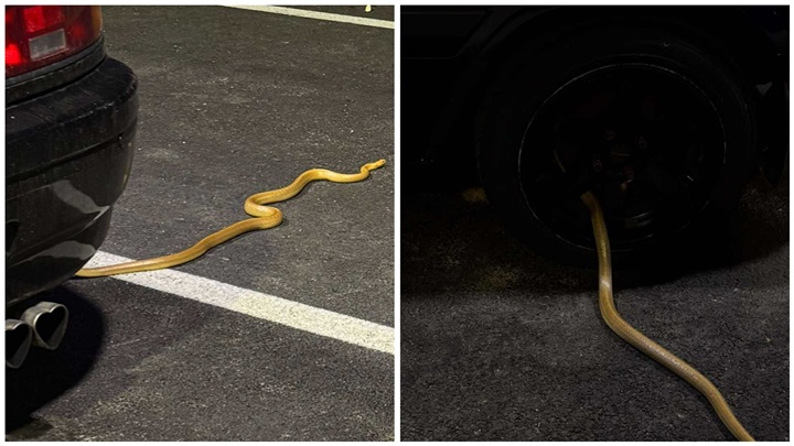 FotoJet - 2025-09-15T210358.583.jpg