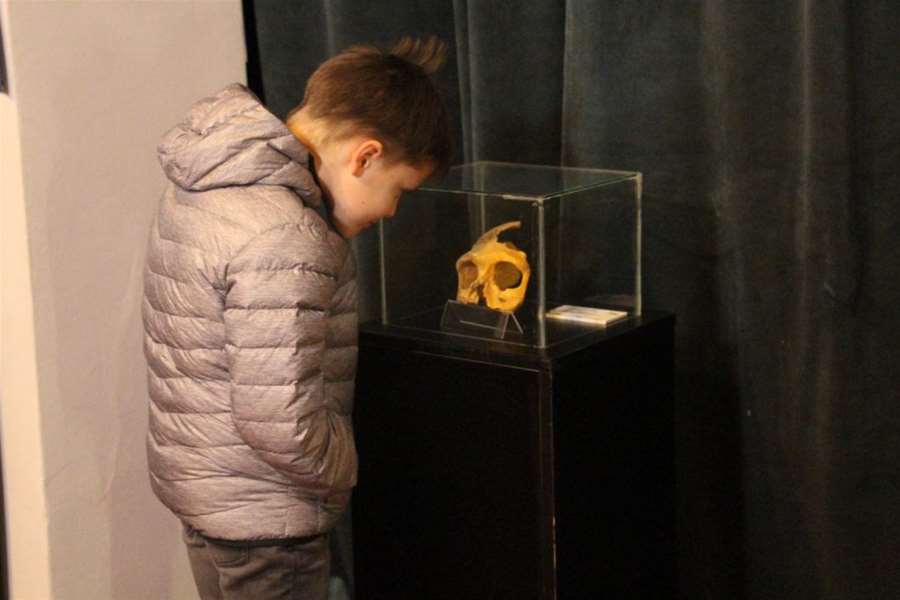 glavna muzej krapinskih.jpg