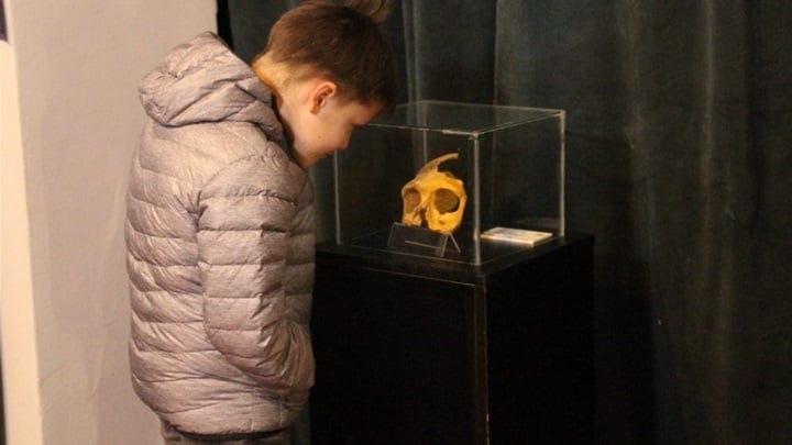 glavna muzej krapinskih.jpg