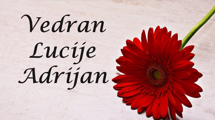 vedran lucije adrijan.png