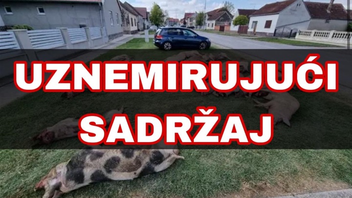 WhatsApp Image 2023-09-16 at 14.00.04.jpeg