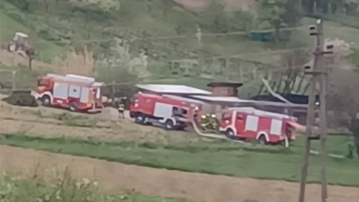 WhatsApp Image 2025-04-14 at 06.38.10.jpeg