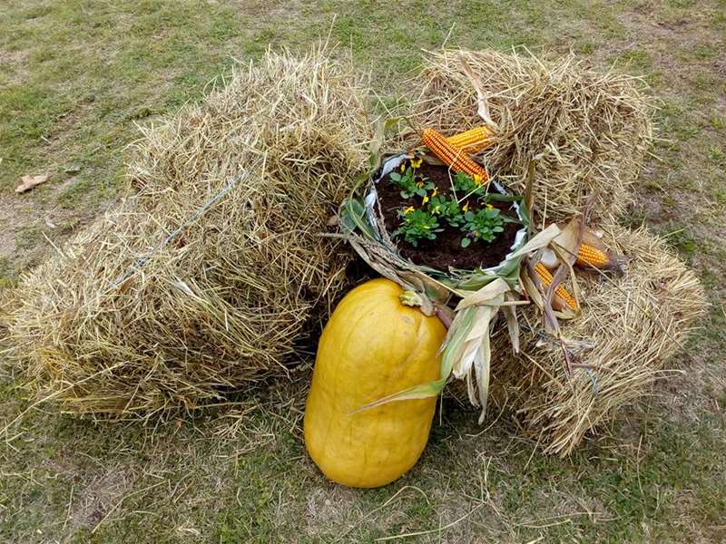 uređenje tuhlja.jpg