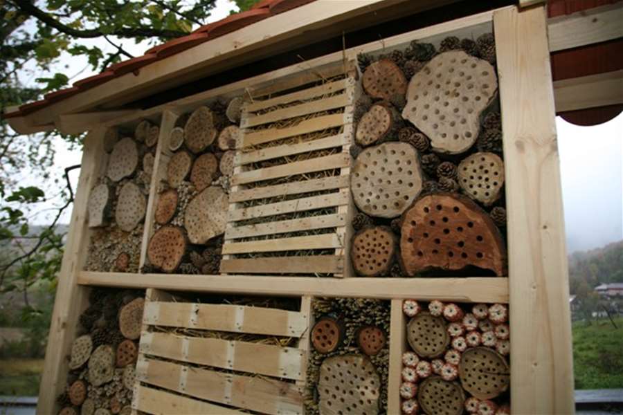 radoboj - hotel za kukce.JPG