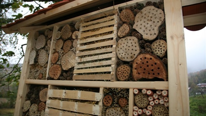 radoboj - hotel za kukce.JPG