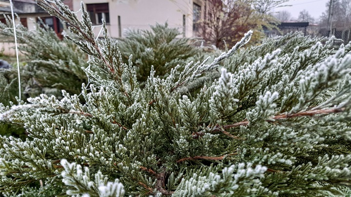 prognoza zima mraz (1).jpg