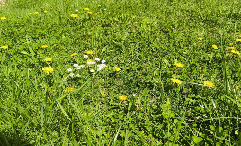 prognoza proljeće.jpg