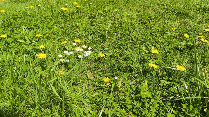 prognoza proljeće.jpg