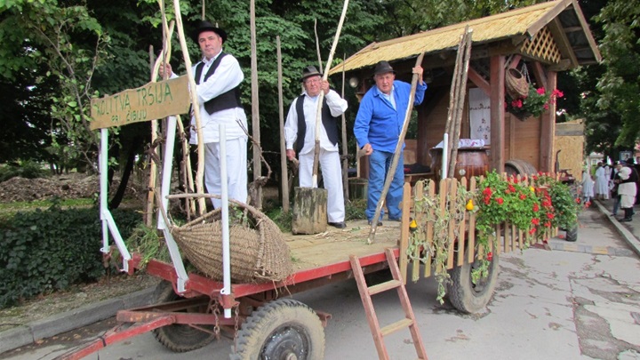 dkr - s pajdaškog sprehajanja.JPG