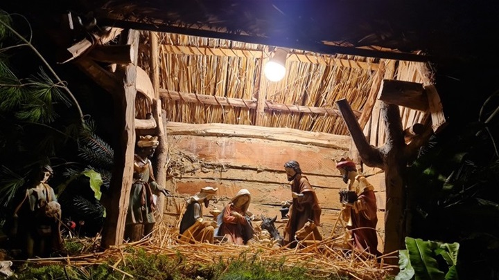 ResizeImage (13).jpg