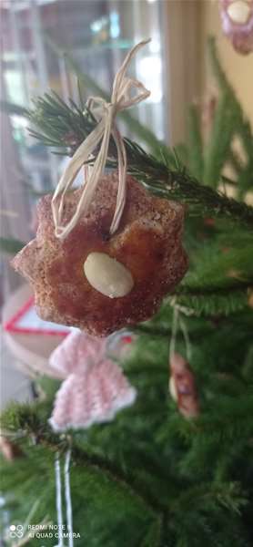 nevenka bedekovčina (1).jpg