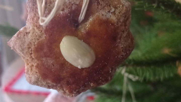 nevenka bedekovčina (1).jpg