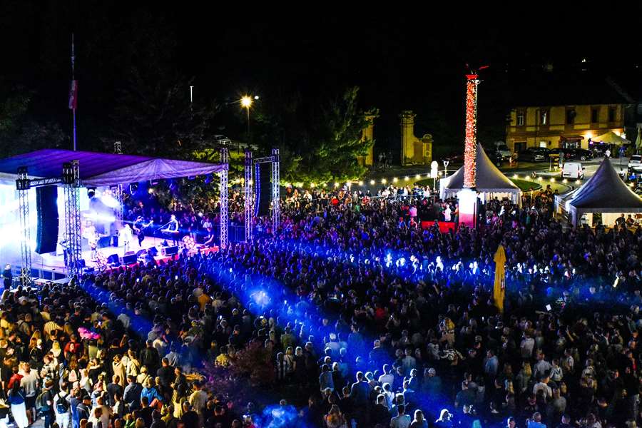 Željko Bebek (2).JPG