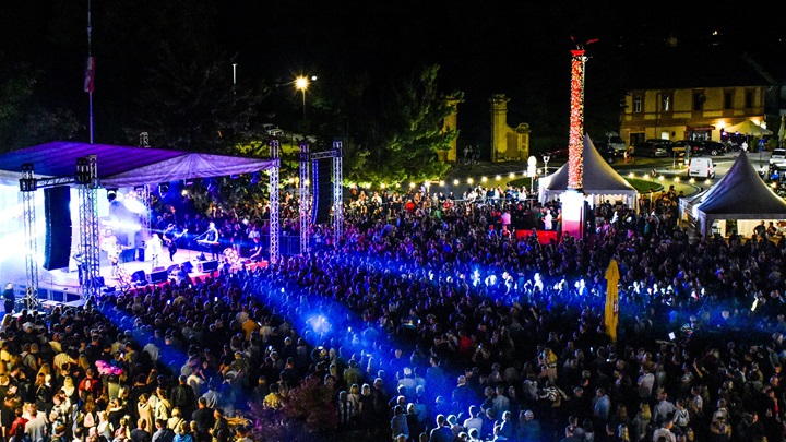 Željko Bebek (2).JPG