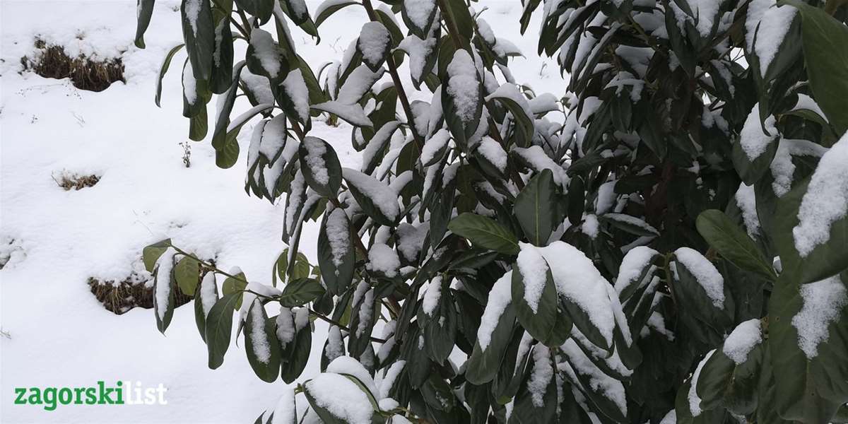 vrijeme zima snijeg (3).jpg