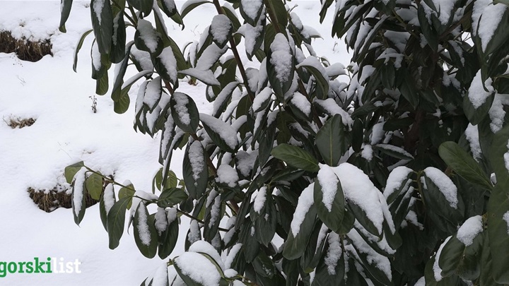 vrijeme zima snijeg (3).jpg