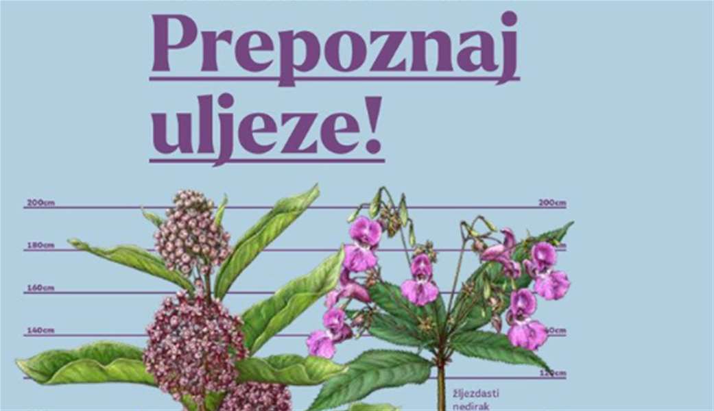 Snimka zaslona 2024-11-08 140812.png